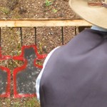 Photo-by-Kitty-Arizona-1-(68)